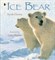 Ice Bear - фото 19466