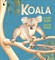 Koala - фото 19500