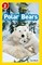 Polar Bears - фото 20539