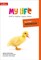 My Life — Key Stage 1 Primary PSHE Handbook 9780008378882 - фото 20753