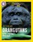 National Geographic Readers — FACE TO FACE WITH ORANGUTANS: Level 5 - фото 21419
