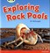 Exploring Rock Pools - фото 22055