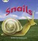 Bug Club Phonics Non-fiction Set 12 Snails - фото 22350