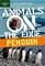 Animals on the Edge: Penguin - фото 22993