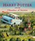 Harry Potter and the Chamber of Secrets : Illustrated Edition - фото 23121