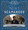 Fantastic Beasts and Where to Find Them - Newt Scamander : A Movie Scrapbook - фото 23132