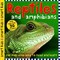 Smart Kids Sticker Books: Reptiles 9781843328599 - фото 23263