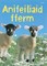 Beginner Farm Animals Welsh - фото 4513
