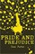 Scholastic Gothic Classics: Pride and Prejudice - фото 4795