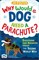 Why Would A Dog Need A Parachute? Questions and answers about the Second World War - фото 5644